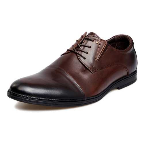 Туфли мужские Alessio Nesca 25806630 коричневые 42 RU в SELA