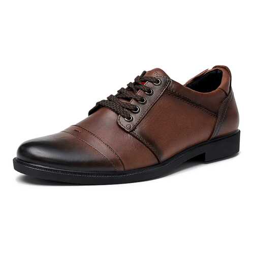 Туфли мужские Alessio Nesca K318A1R коричневые 39 RU в SELA