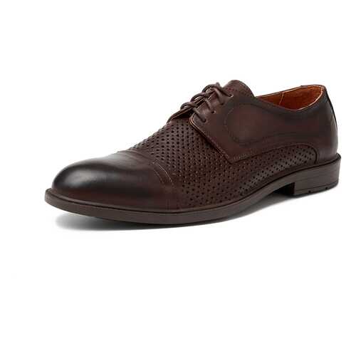 Туфли мужские Alessio Nesca M6118005 коричневые 41 RU в SELA