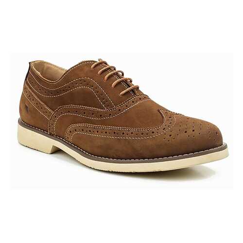 Туфли мужские Ascot MULLER коричневые 42 RU в SELA