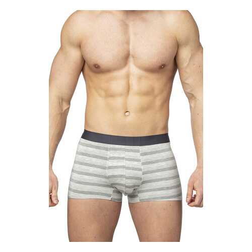 Трусы мужские SERGIO DALLINI SD2902 серые L в SELA